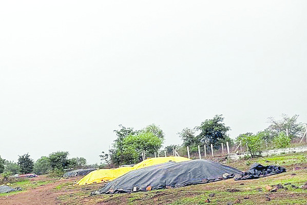 వర్షం తెచ్చిన తంటా 1