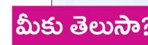 నవనాథ సిద్దులగుట్టపై ఏకశిల స్థూపం 1