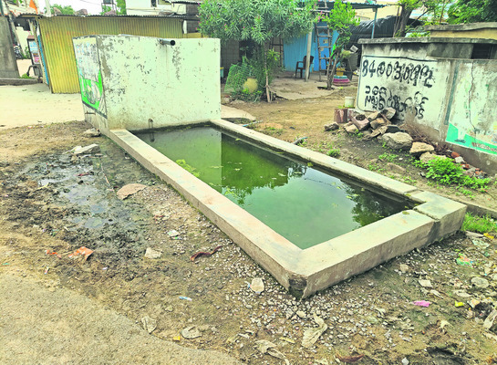 టేక్రియాల్లో కుక్కల బెడద
1