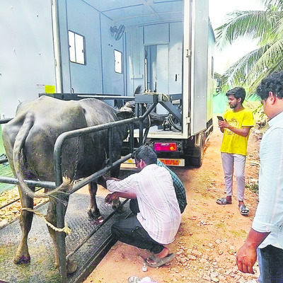 నిలిచిపోయిన  సంచార పశు వైద్యం 2