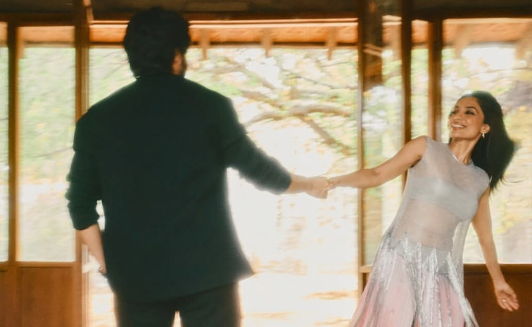 Naga Chaitanya wishes lady love Sobhita Dhulipala on birthday Photos4