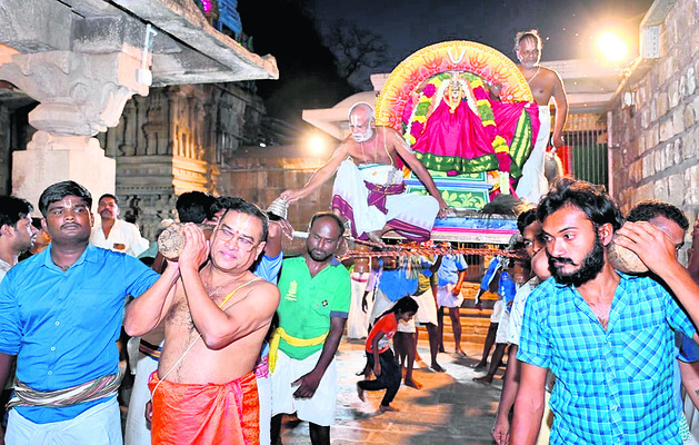 హంస వాహనంపై దివ్య తేజం1