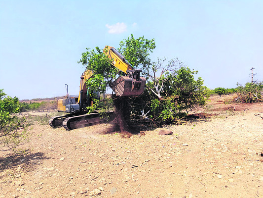 ● తోడు–నీడగా వైఎస్సార్సీపీ 1