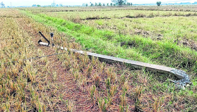 రైతుల కష్టం నేలపాలు!1