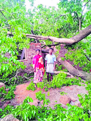 నందపూర్పై కాల వైశాఖి ప్రభావం1