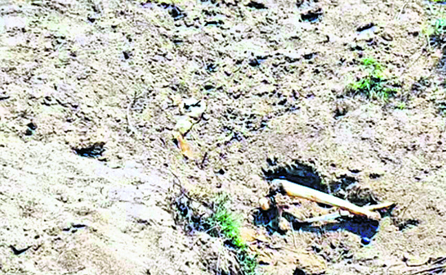 ఇంద్రావతి నదీ తీరంలో అస్థి పంజరం1