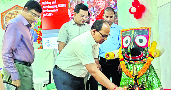 జీడిపప్పు, పైనాపిల్ ఎగుమతి చేయండి2