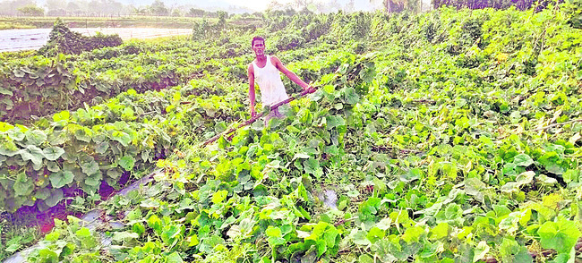 భయపెట్టిన ఈదురు గాలులు2
