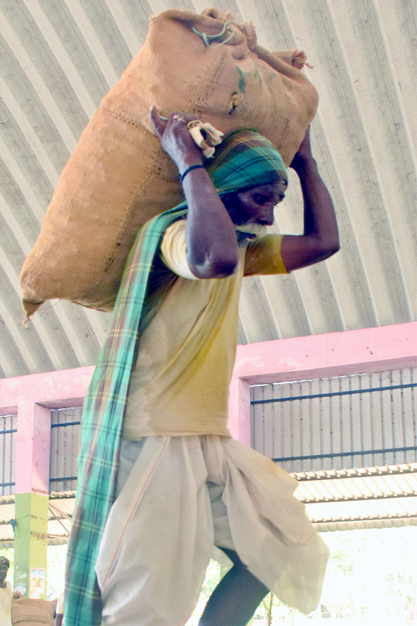 Best Photos of The Week in AP and Telangana Photo Gallery10