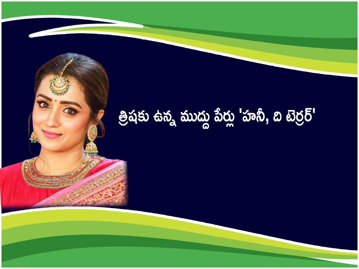 Intresting Facts Actress Trisha Krishnan Birthday Special Photos7