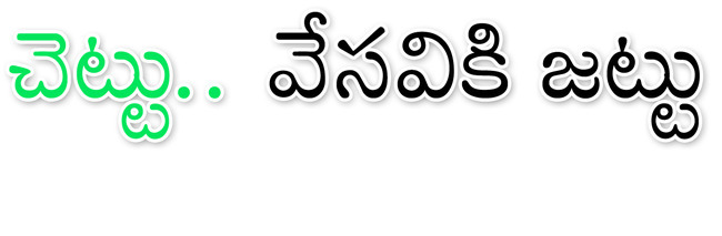 ఎక్కడో ఊరవతల ఓ మర్రి చెట్టు.. ఎండన పడి తిరిగే వారిని కా1