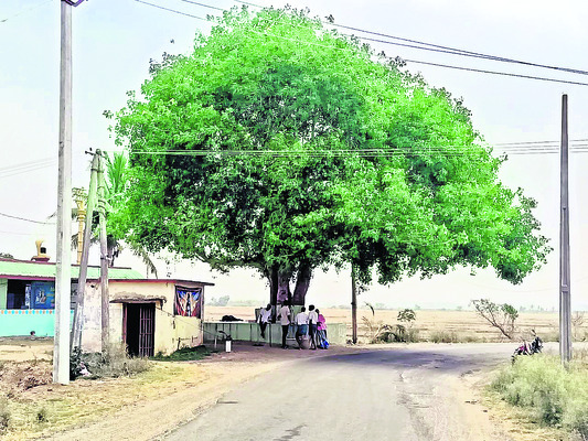 ఎక్కడో ఊరవతల ఓ మర్రి చెట్టు.. ఎండన పడి తిరిగే వారిని కా4