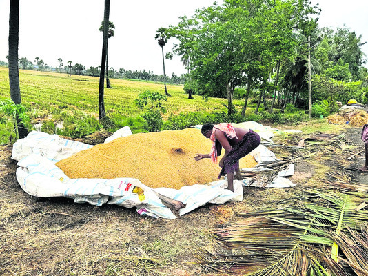 దంచి కొట్టి.. వెతలు మిగిల్చి 2