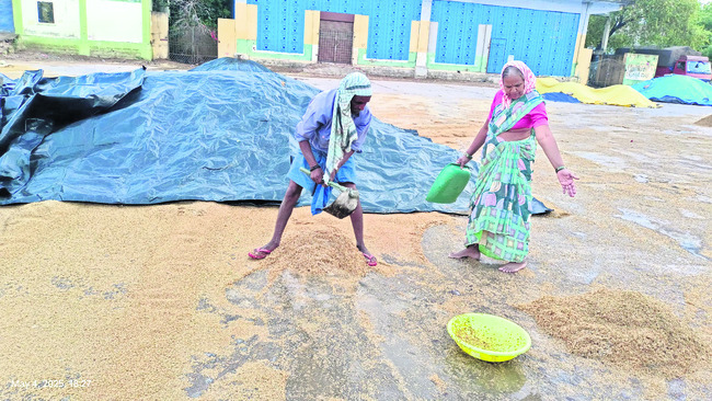 అకాల వర్షంతో రైతన్న ఆగమాగం5