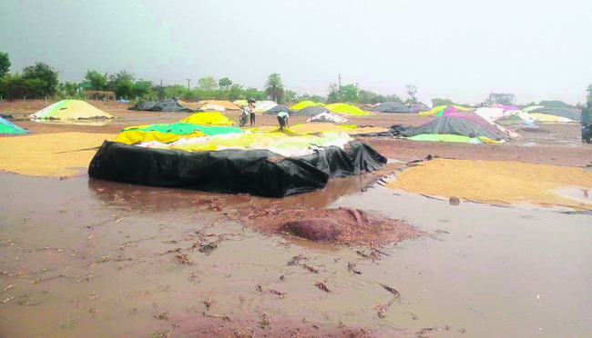 అకాల వర్షంతో రైతన్న ఆగమాగం2