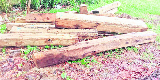 ప్రజా సమస్యలను పార్లమెంట్‌లో వినిపిస్తున్నా.. 1