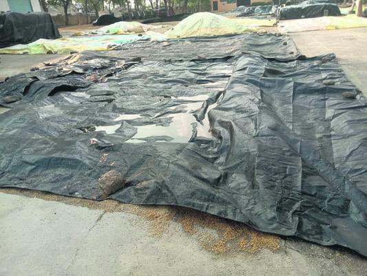 అకాల వర్షంతో రైతన్న ఆగమాగం3