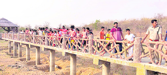 అడవిని చూసొద్దాం1
