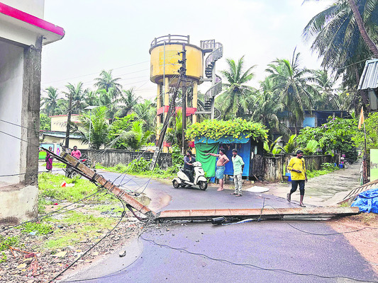 కంకి మీద కునుకు మాయం!1
