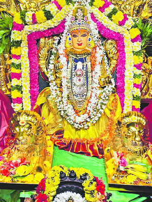 ఘనంగా బగళాముఖి జయంతి పూజలు 2
