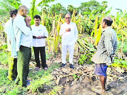 ఈదురుగాలులు, వర్షంతో రైతులకు తీవ్ర నష్టం 1