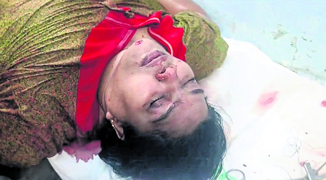 పులి దాడిలో ఆవు మృతి 1