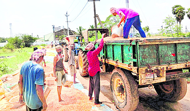 పంట సంరక్షణలో అన్నదాతలు 1