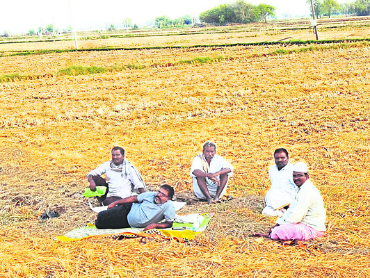 జొన్న రైతుకు ‘వ్యయ’ప్రయాస 4
