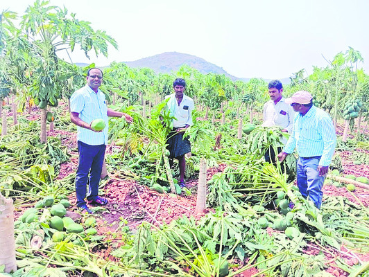 పెనుగాలుల బీభత్సం 1