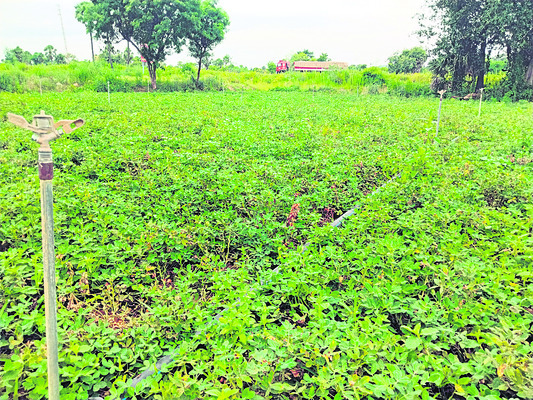 సార్ చెబుతుంటే.. మేడమ్ వింటున్నారు..1
