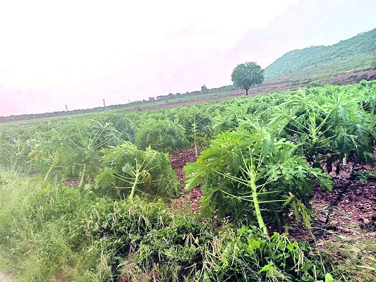 కడప రిమ్స్‌ ప్రిన్సిపాల్‌ బదిలీ 1