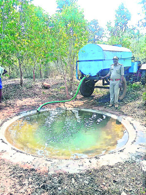 సుర్రుమంటున్న సూరీడు..!2