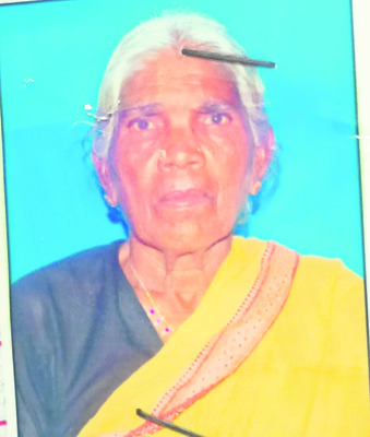 సమ్మర్ క్యాంప్ను సద్వినియోగం చేసుకోవాలి 1