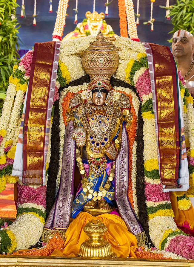 Sri Padmavathi Srinivasula Parinayotsavam Tirumala Photos10