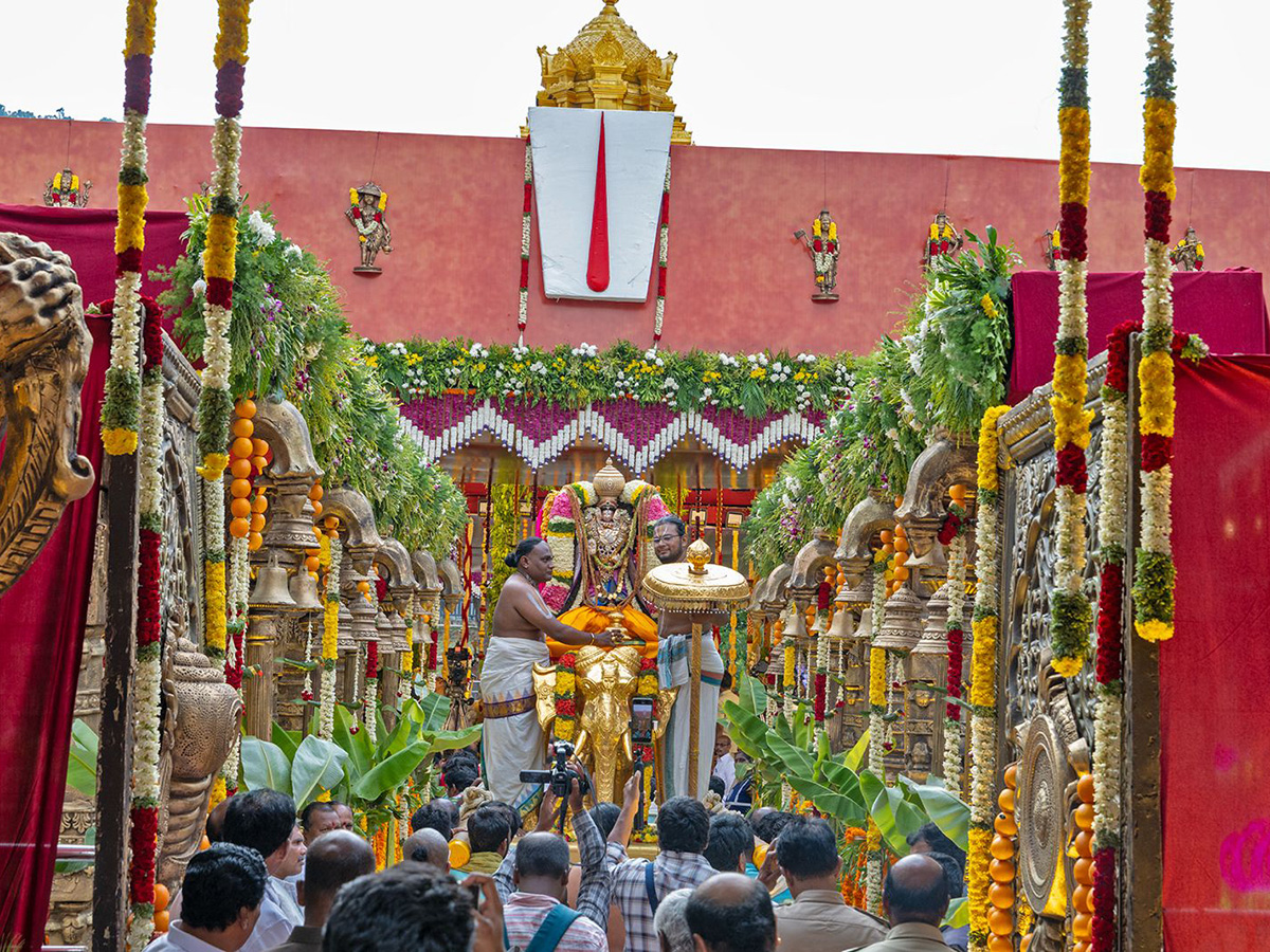 Sri Padmavathi Srinivasula Parinayotsavam Tirumala Photos11