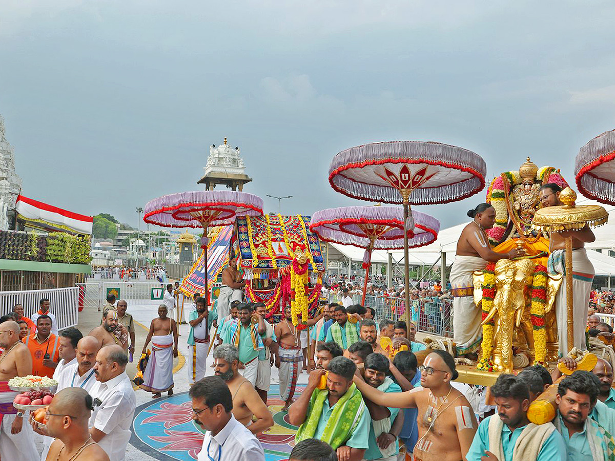 Sri Padmavathi Srinivasula Parinayotsavam Tirumala Photos14
