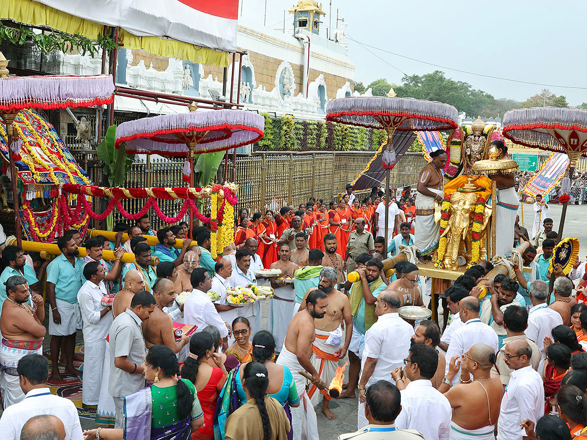 Sri Padmavathi Srinivasula Parinayotsavam Tirumala Photos3