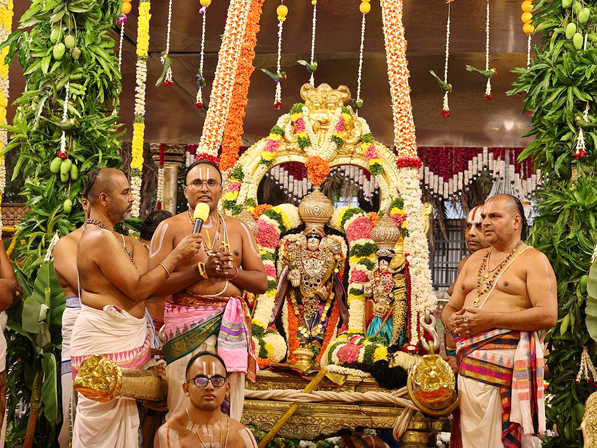 Sri Padmavathi Srinivasula Parinayotsavam Tirumala Photos8