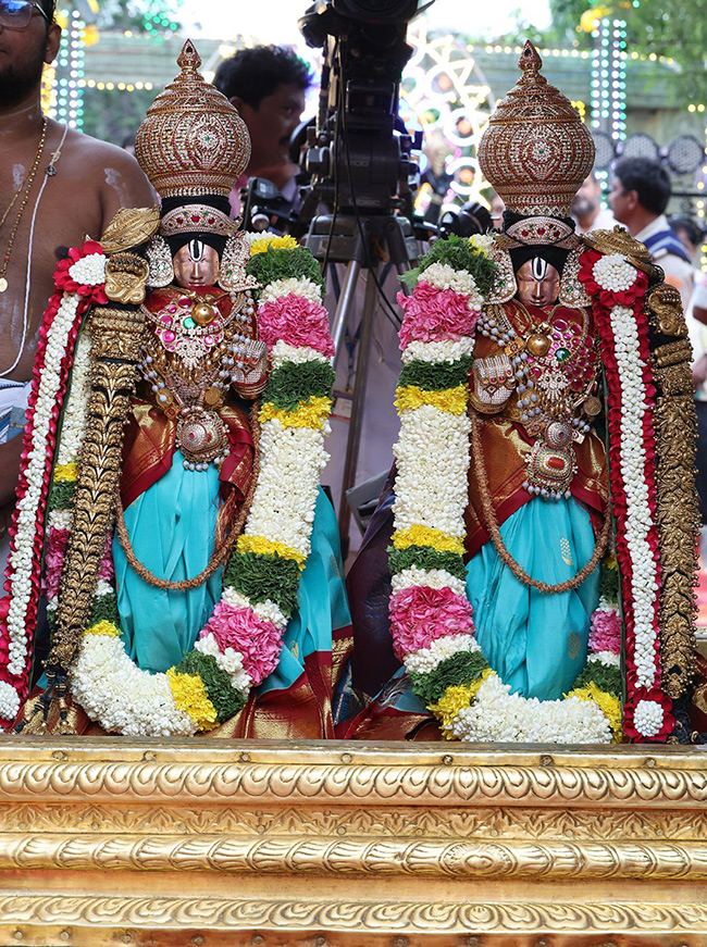 Sri Padmavathi Srinivasula Parinayotsavam Tirumala Photos9
