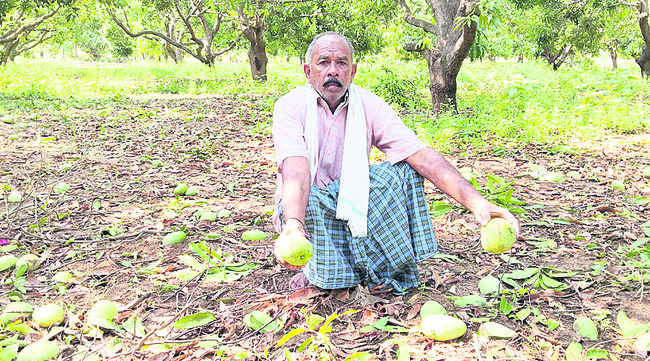 అకాల వర్షం.. ఆగమాగం3