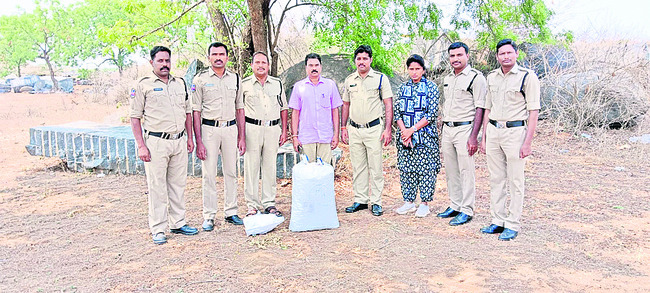 నెమళ్ల కోసం మందు పెట్టిన దుండగులు1