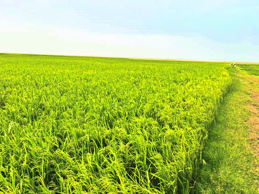 సహకార వ్యవస్థ ముఖ్యమైంది 1