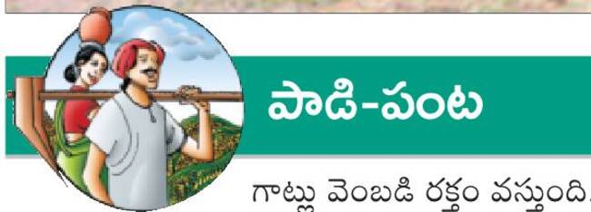 ప్రథమ చికిత్సతో ప్రాణ రక్షణ 1