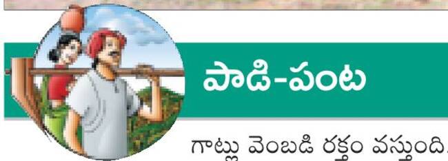 ప్రథమ చికిత్సతో ప్రాణ రక్షణ 1