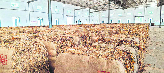 రోడ్డెక్కిన పొగాకు రైతు1