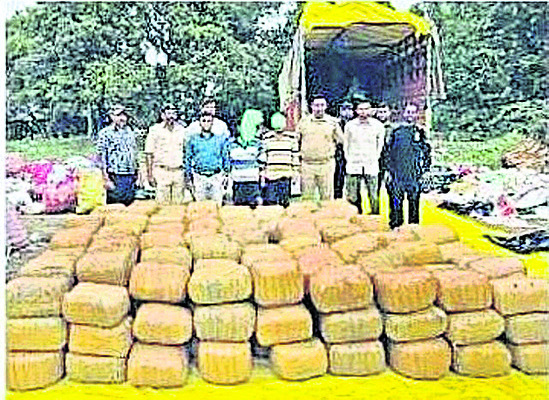 బావిలో పడిన ఎలుగు సురక్షితం 2