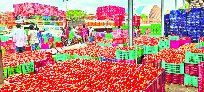 వైవీయూ పీజీ కళాశాల ప్రిన్సిపల్గా ఆచార్య శ్రీనివాస్ 1