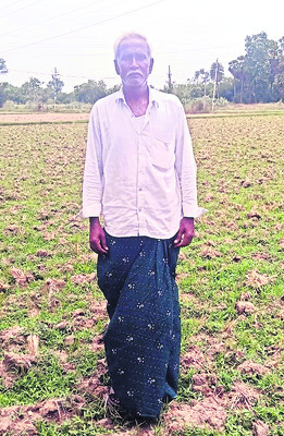 సేద్యానికి భరోసా పోయింది 1