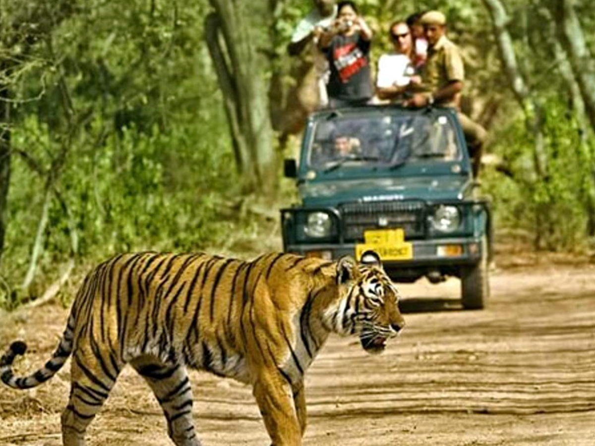 Dandeli is a paradise for nature lovers5