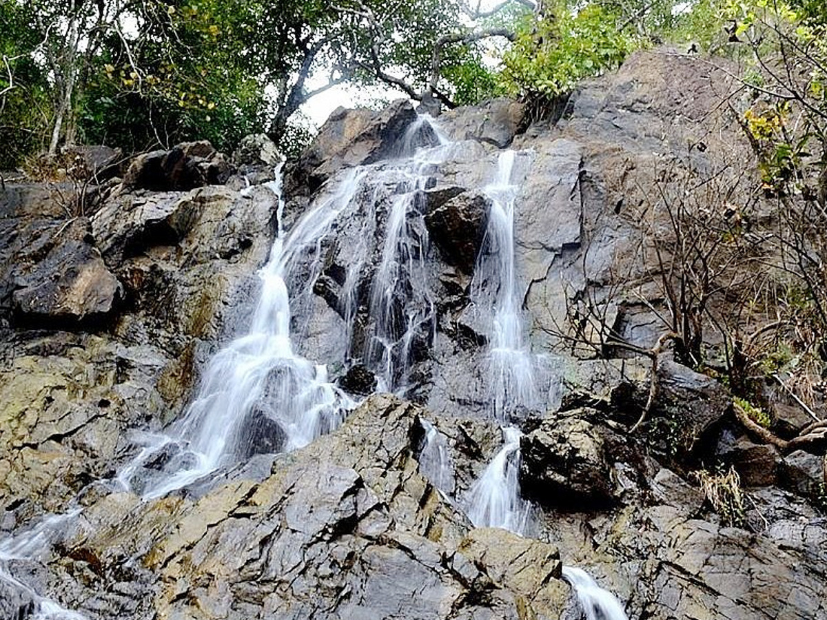 Dandeli is a paradise for nature lovers8